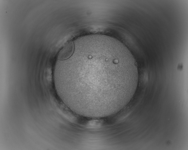 X0000114170700200910221651