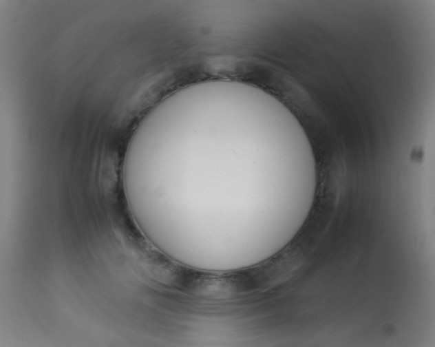 X0000114170702200910221651