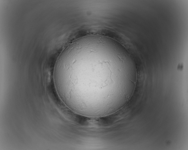 X0000114170703200910221651