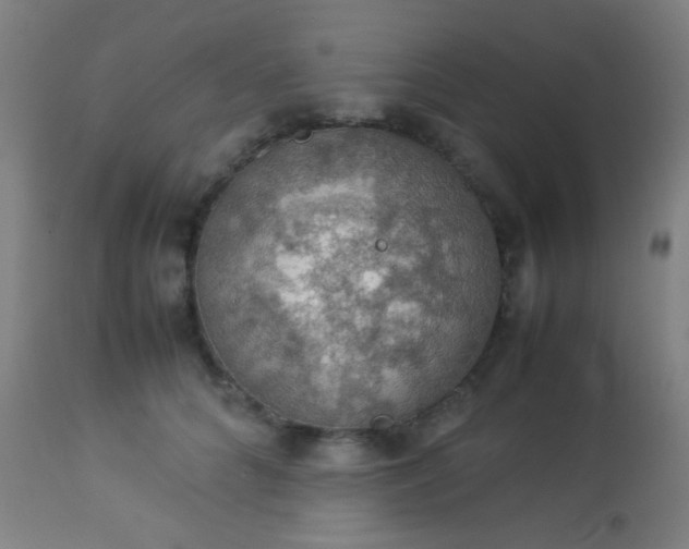 X0000114170704200910221651