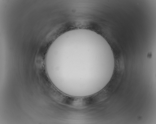 X0000114170705200910221651