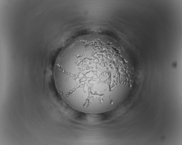 X0000114170707200910221651