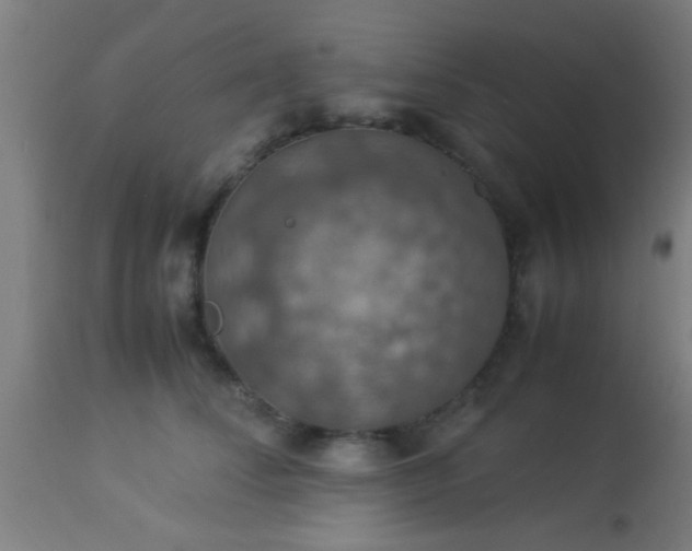 X0000114170708200910221651