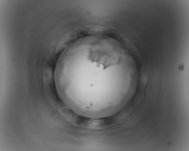 X0000114170711200910221651