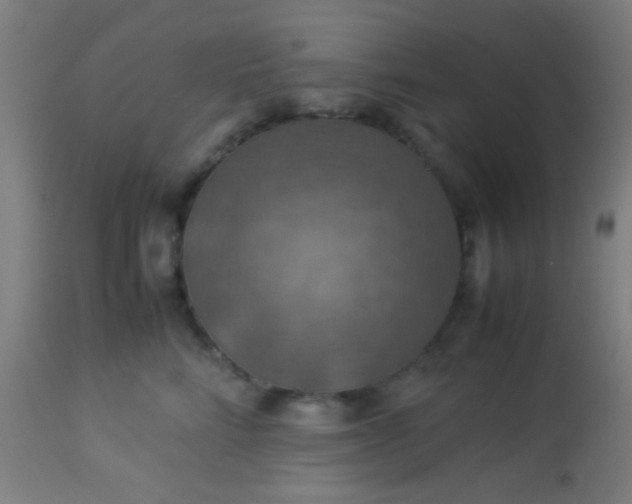 X0000114170712200910221651