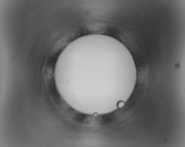 X0000114170713200910221651