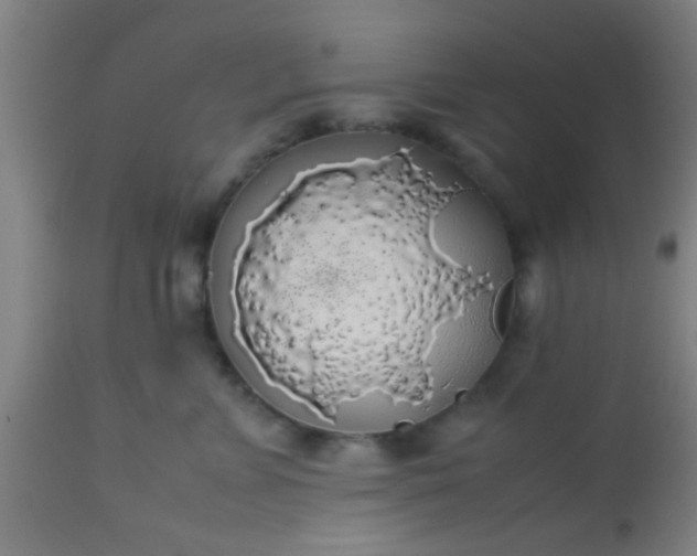 X0000114170715200910221651