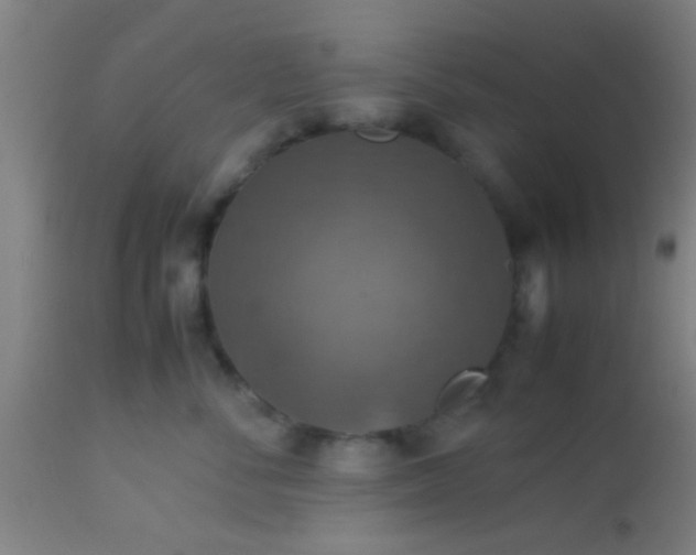 X0000114170716200910221651