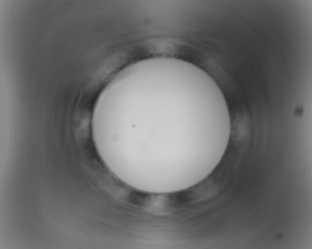 X0000114170717200910221651