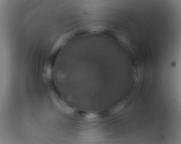 X0000114170718200910221651