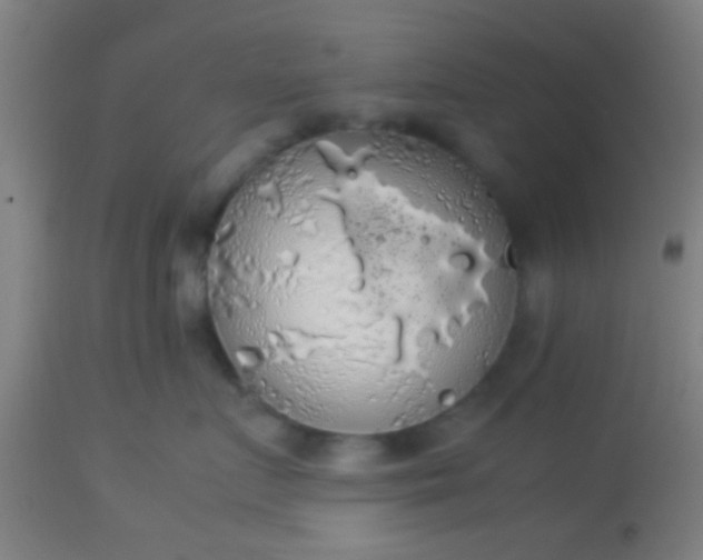 X0000114170719200910221651