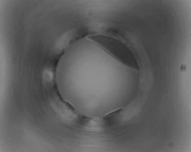 X0000114170720200910221651