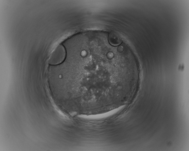 X0000114170721200910221650