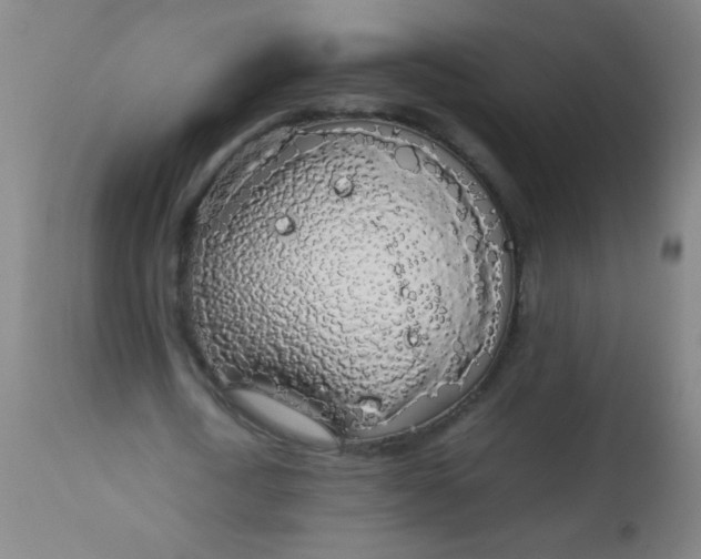 X0000114170722200910221650