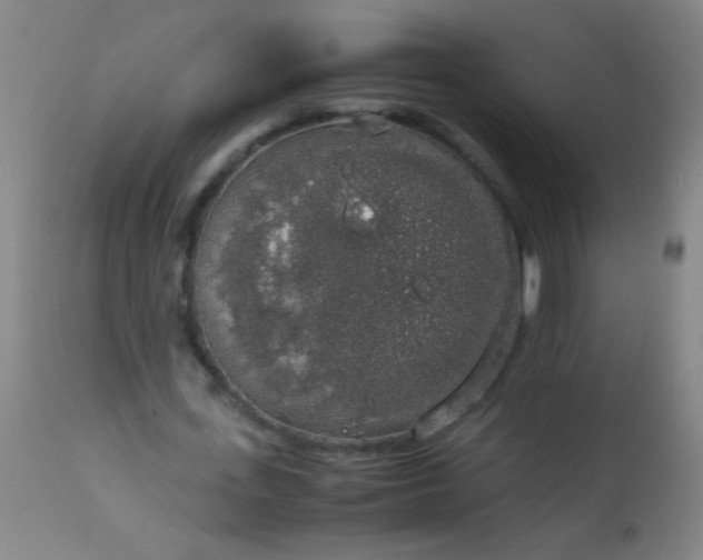 X0000114170723200910221650