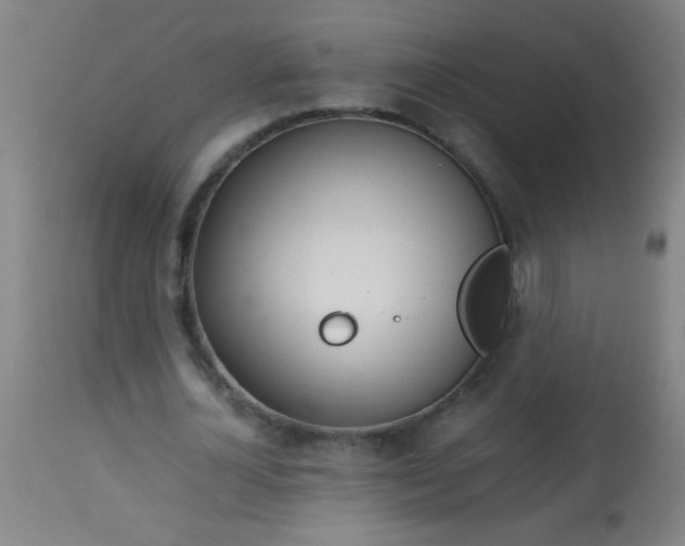 X0000114170724200910221650