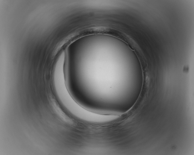 X0000114170725200910221650