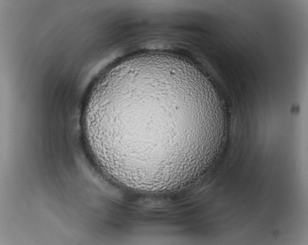 X0000114170727200910221650