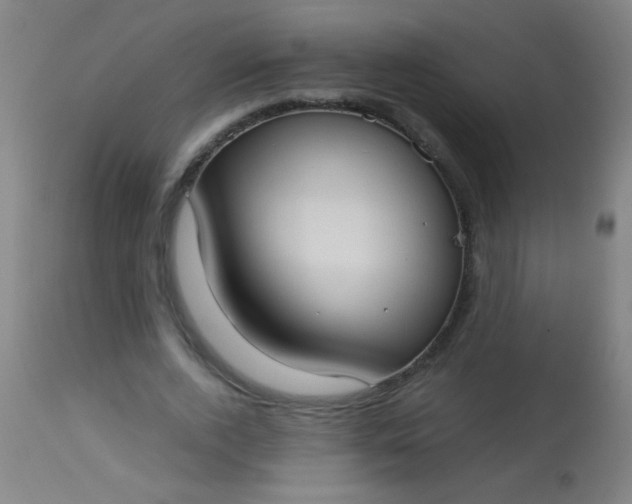 X0000114170728200910221650