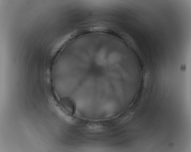 X0000114170729200910221650