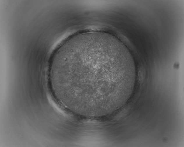 X0000114170730200910221650