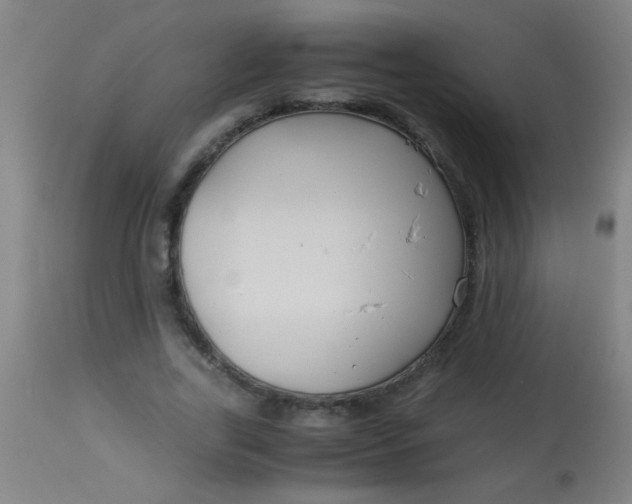 X0000114170731200910221650