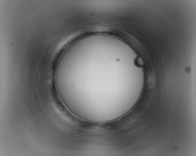 X0000114170732200910221650