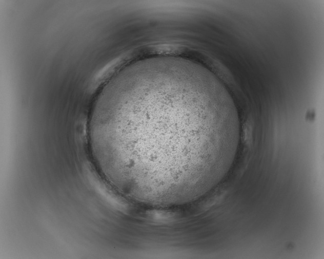 X0000114170733200910221650