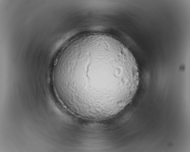 X0000114170734200910221650