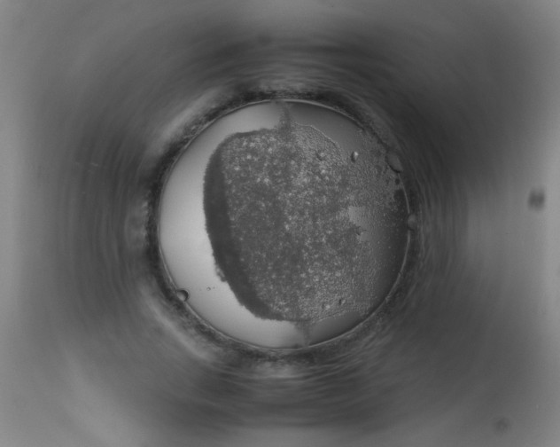 X0000114170735200910221650