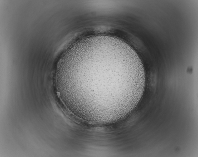 X0000114170738200910221650