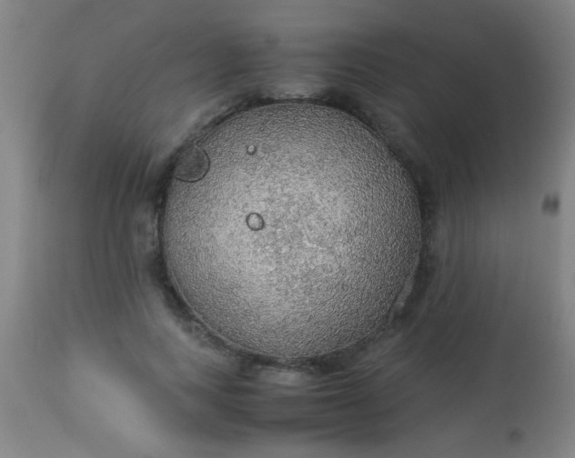 X0000114170743200910221650