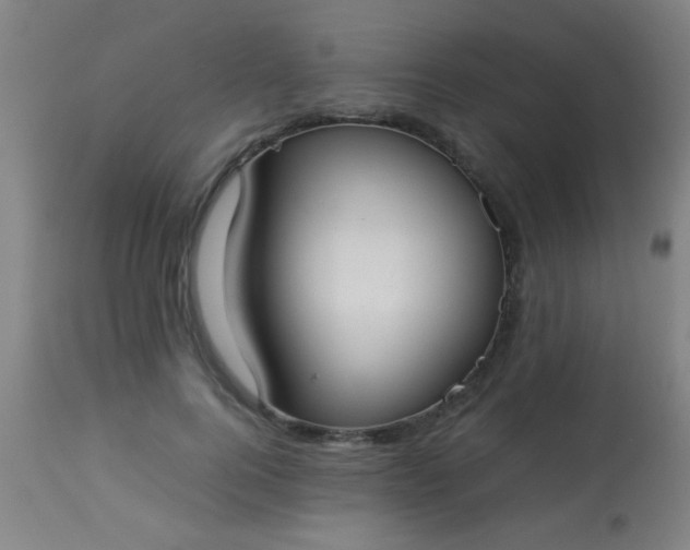 X0000114170744200910221650