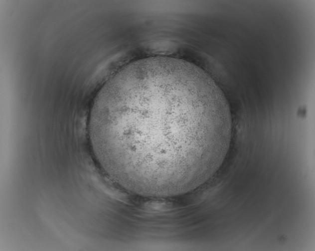 X0000114170745200910221650