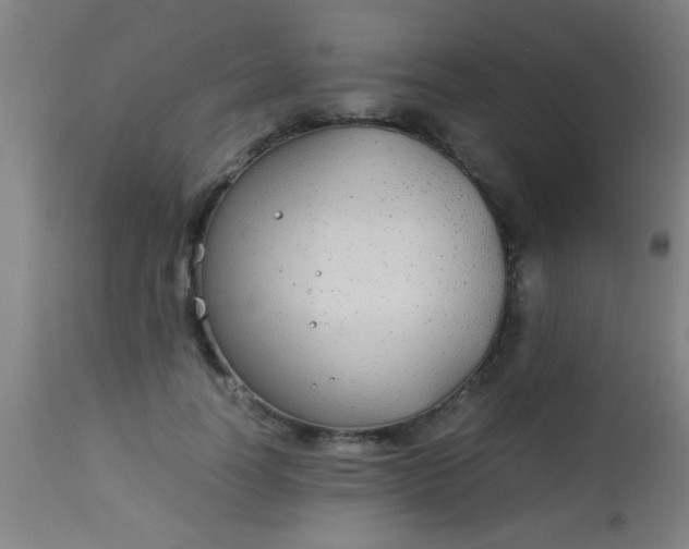 X0000114170746200910221650