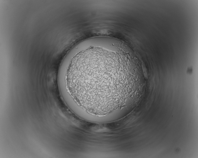 X0000114170747200910221650