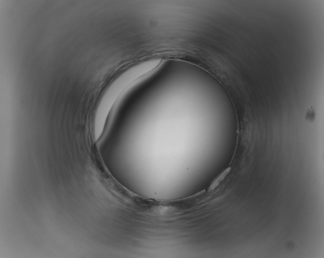 X0000114170748200910221650