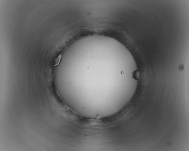 X0000114170750200910221650