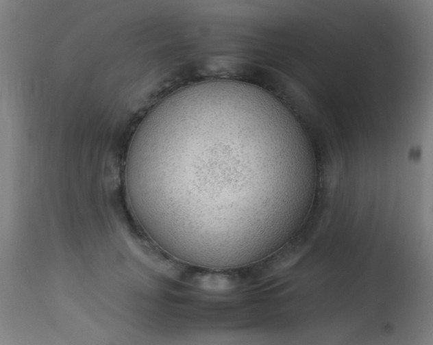 X0000114170751200910221650