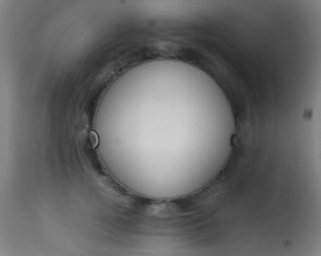 X0000114170752200910221650