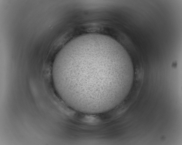 X0000114170753200910221650