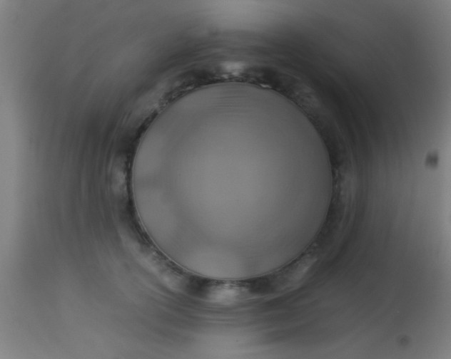 X0000114170754200910221650