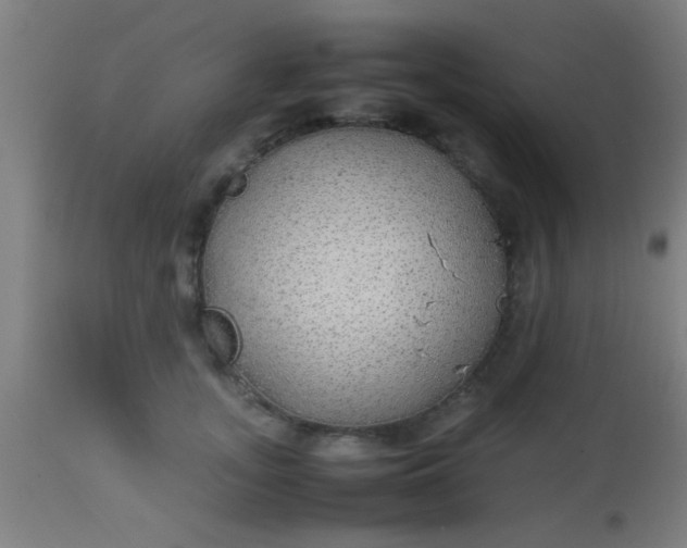 X0000114170755200910221650