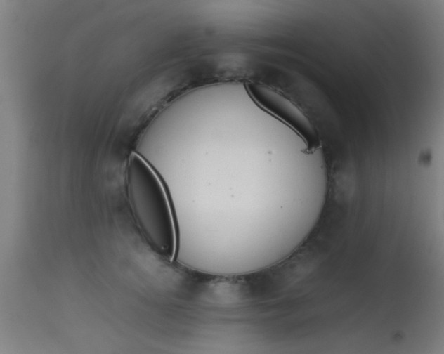 X0000114170756200910221650