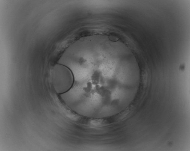 X0000114170757200910221650