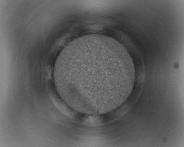 X0000114170758200910221650