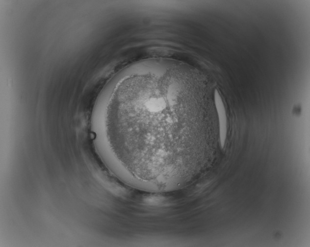 X0000114170759200910221650