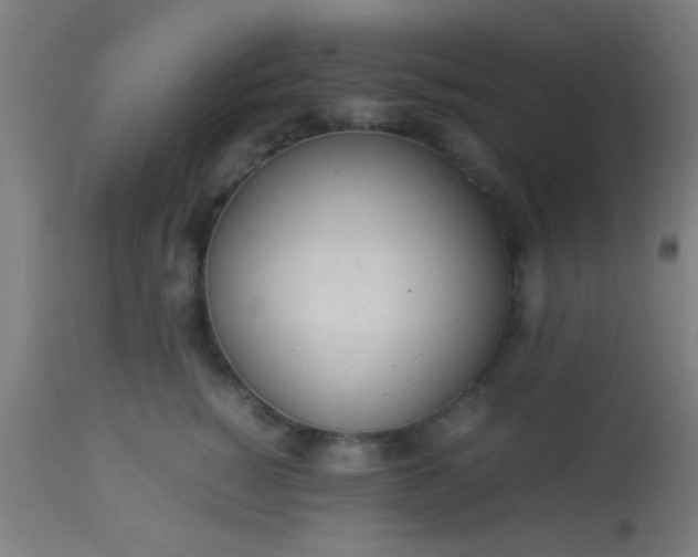 X0000114170760200910221650