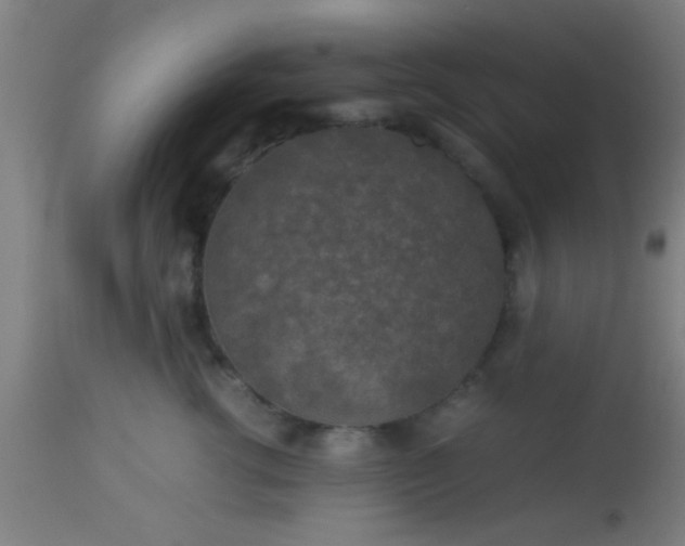 X0000114170762200910221650