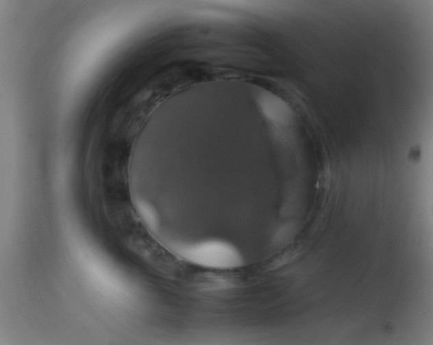 X0000114170763200910221651